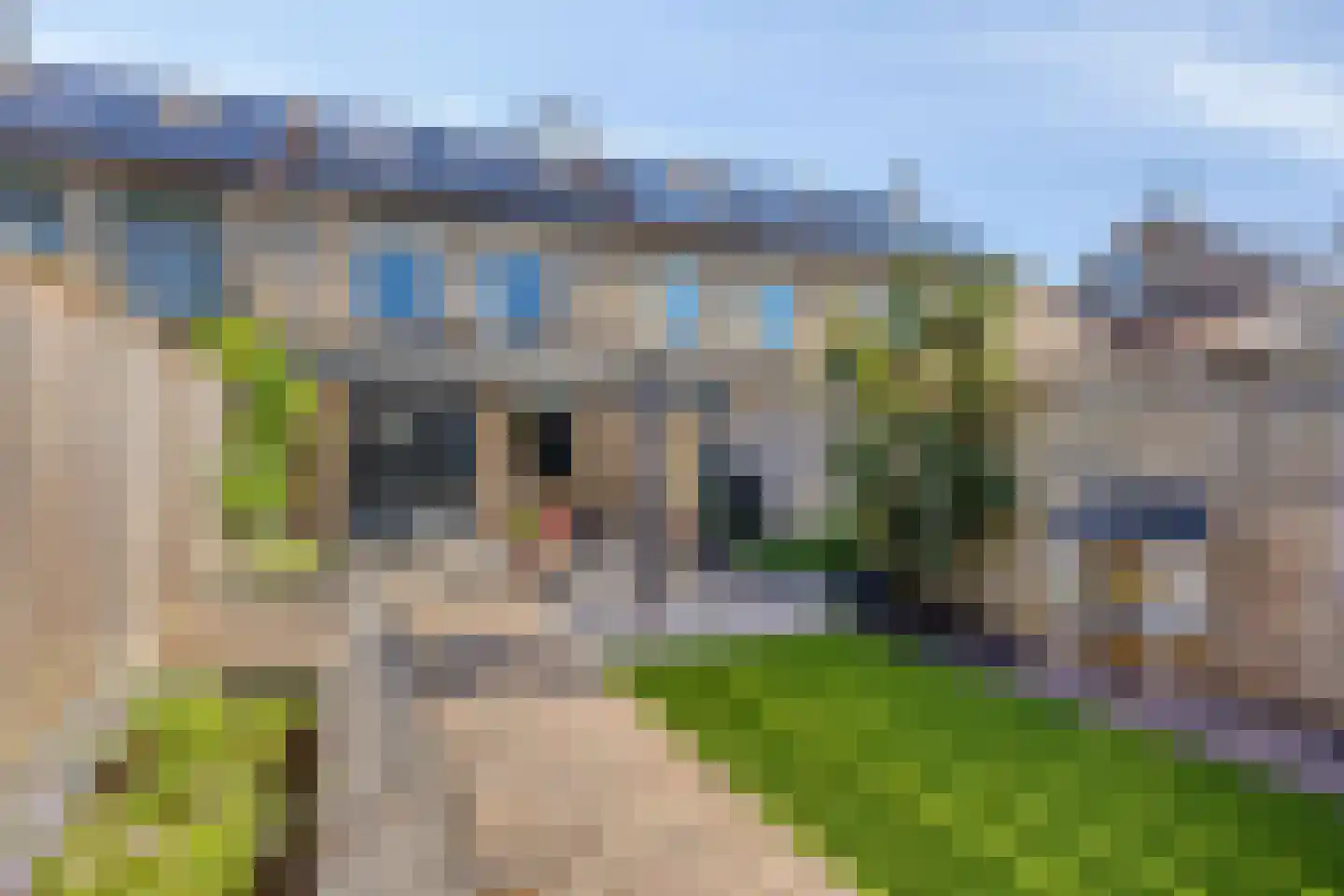 Zuring 85 Klazienaveen thumbnail 22
