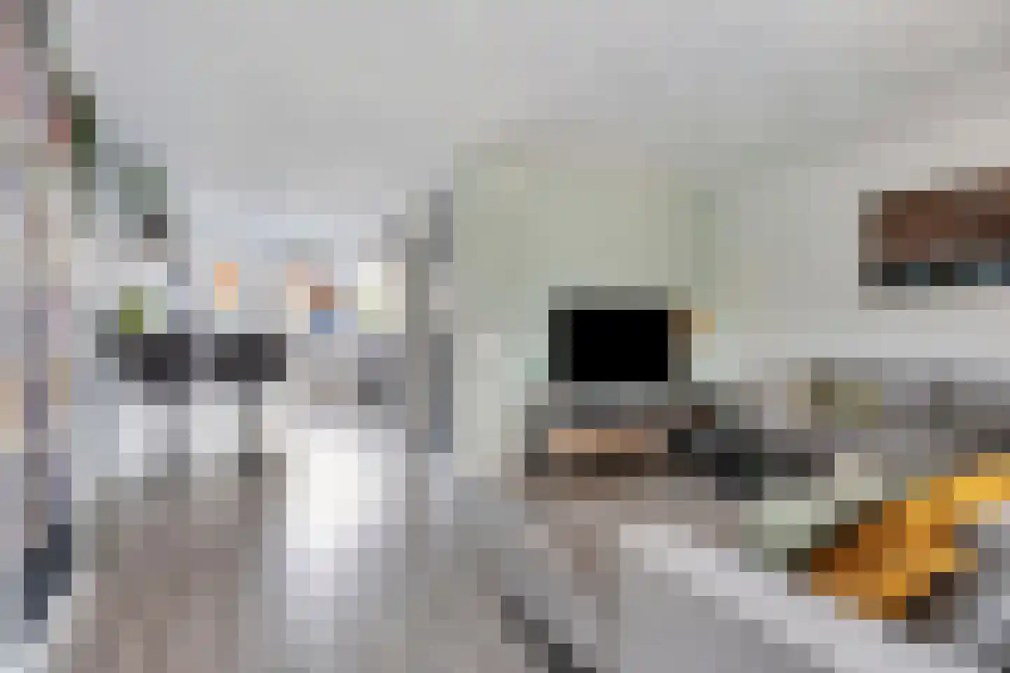 Zuring 85 Klazienaveen thumbnail 6