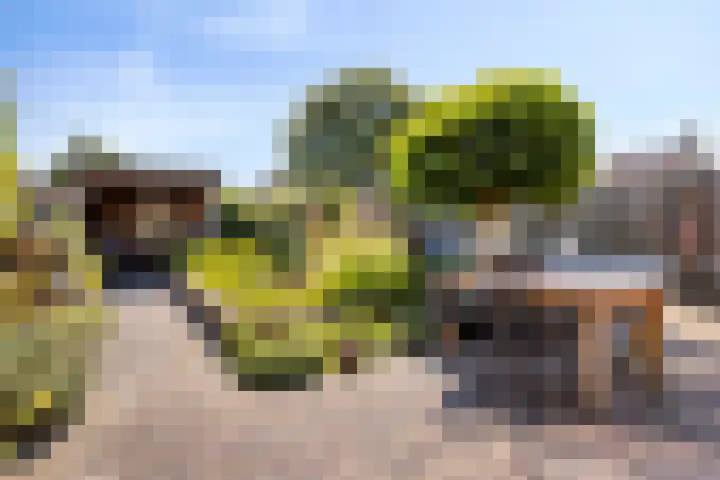 Zuring 87 Klazienaveen thumbnail 16