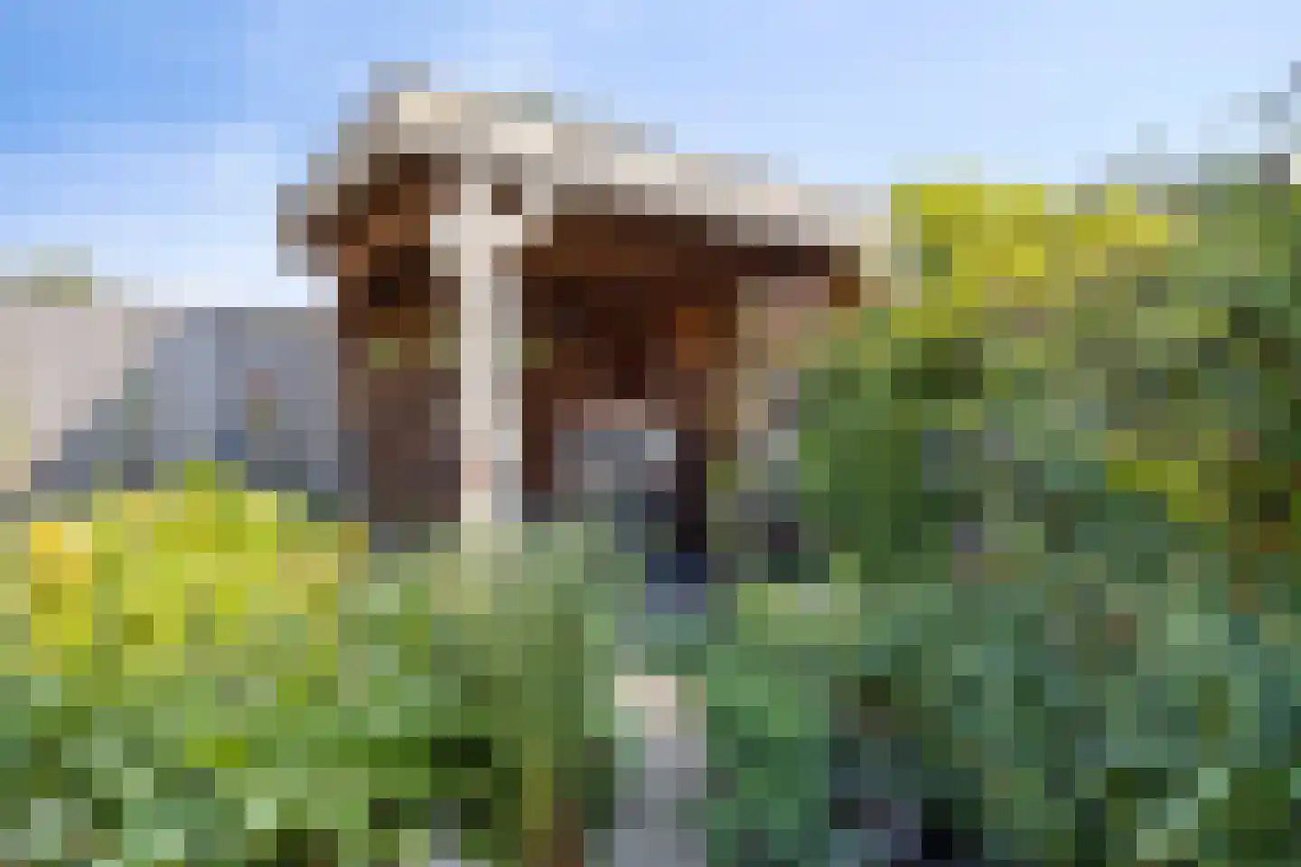 Zuring 87 Klazienaveen thumbnail 18