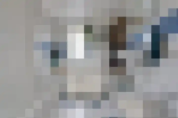 Zuringes 113 Assen thumbnail 23