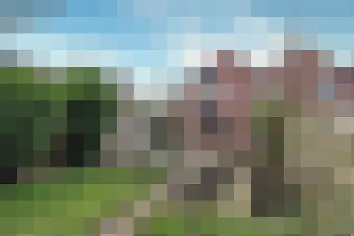 Zuringes 113 Assen thumbnail 29