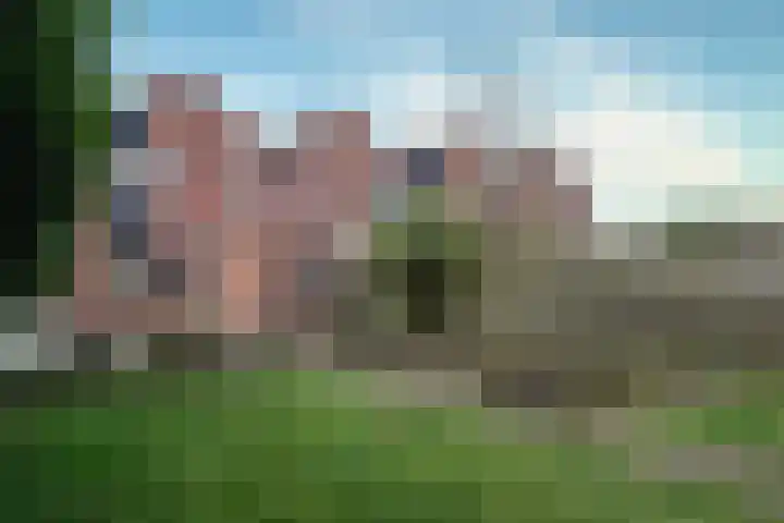 Zuringes 113 Assen thumbnail 30