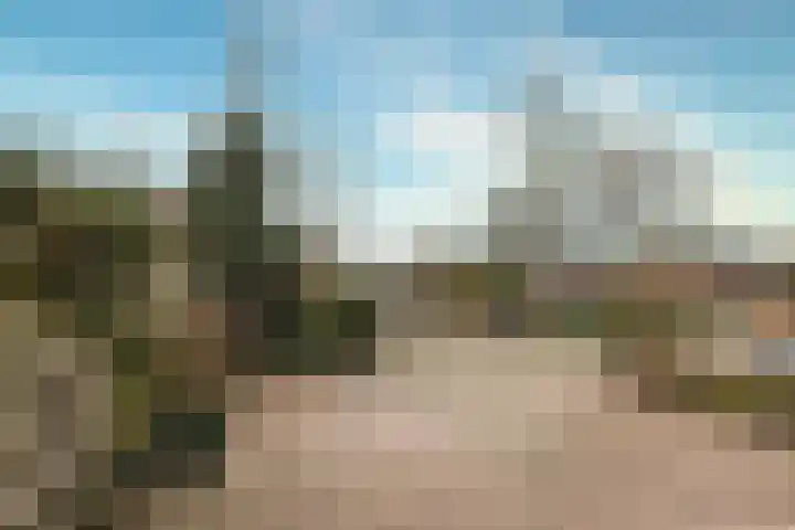 Zuringes 113 Assen thumbnail 34