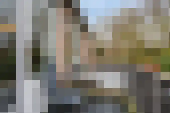 Zuringes 36 Assen thumbnail 15