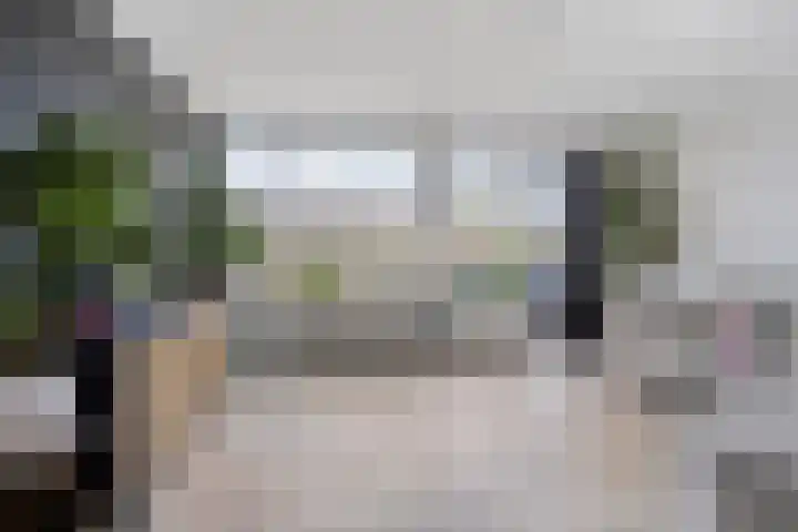 Zuringes 36 Assen thumbnail 20