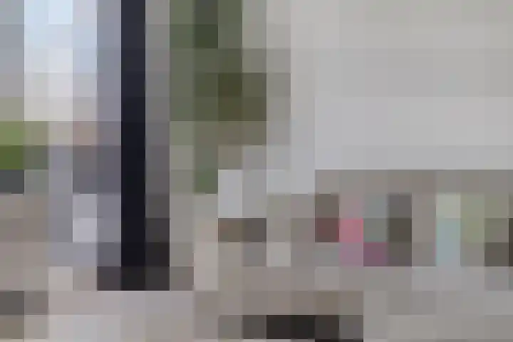 Zuringes 36 Assen thumbnail 21