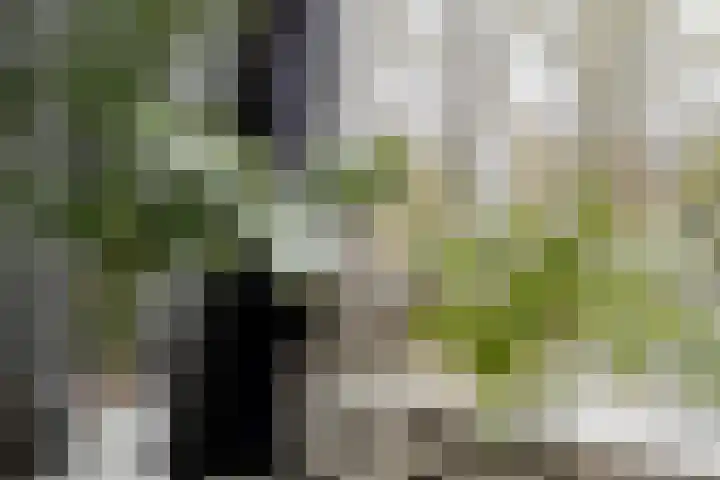 Zuringes 36 Assen thumbnail 22