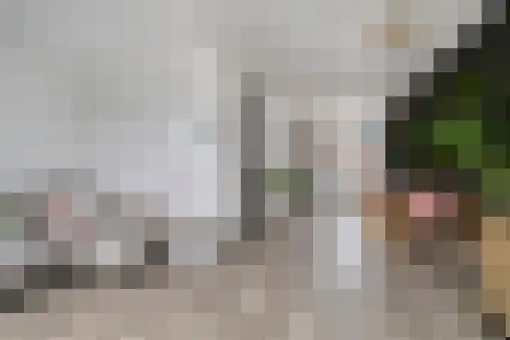 Zuringes 36 Assen thumbnail 24