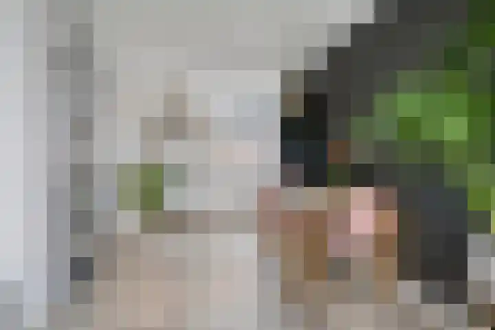 Zuringes 36 Assen thumbnail 26