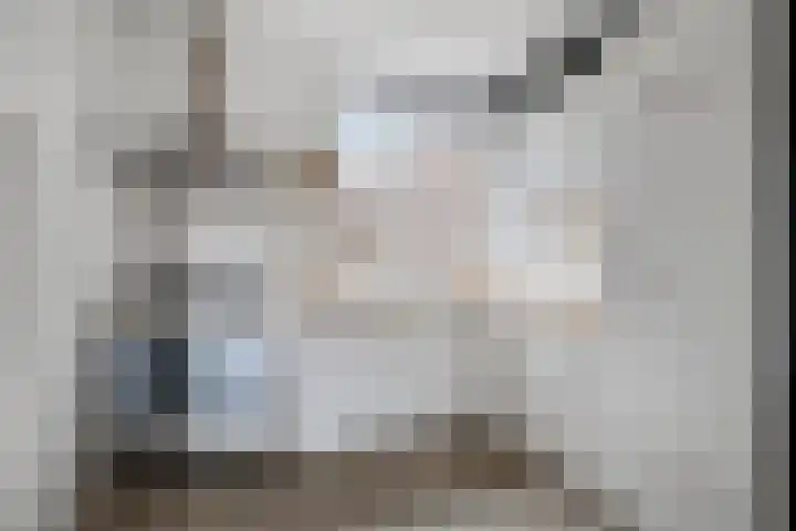 Zuringes 36 Assen thumbnail 29