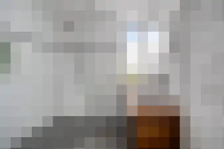 Zuringes 36 Assen thumbnail 32