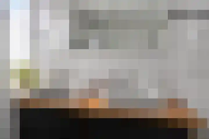 Zuringes 36 Assen thumbnail 33