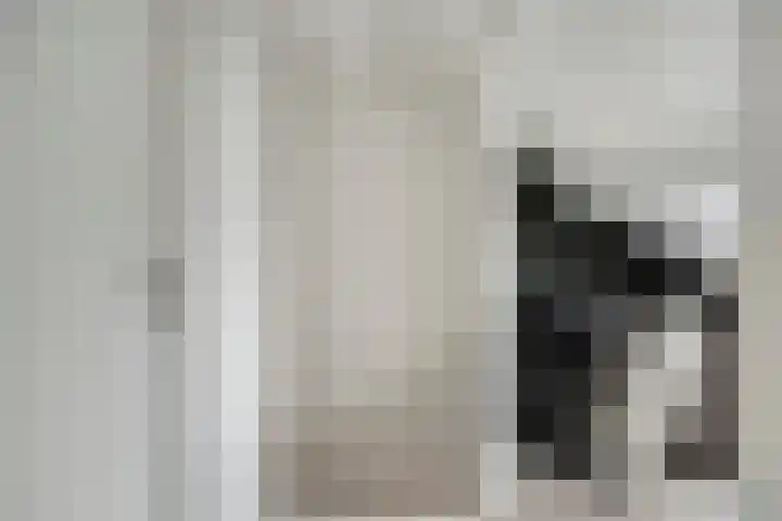 Zuringes 36 Assen thumbnail 39