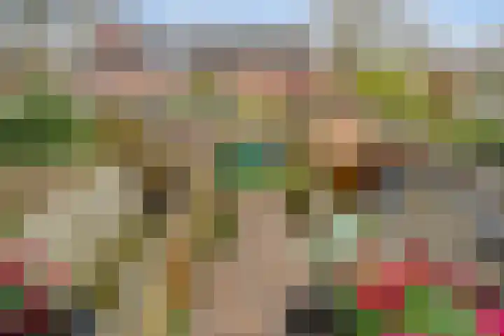 Zuringes 36 Assen thumbnail 4