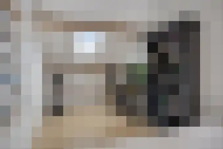 Zuringes 36 Assen thumbnail 42