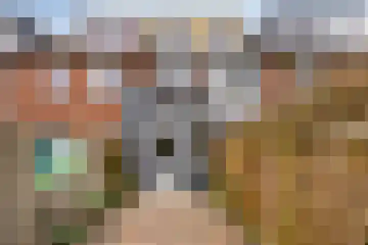 Zuringes 36 Assen thumbnail 47