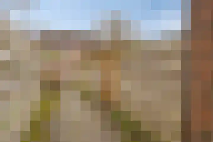 Zuringes 36 Assen thumbnail 48