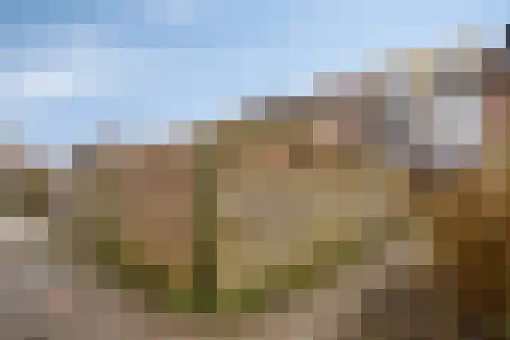 Zuringes 36 Assen thumbnail 49