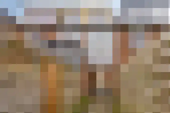 Zuringes 36 Assen thumbnail 50