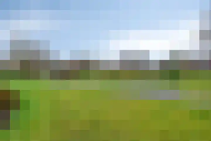 Zuringes 36 Assen thumbnail 52