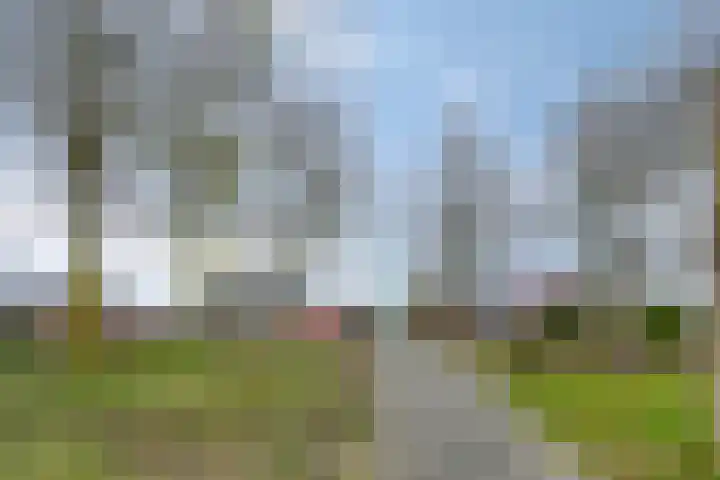 Zuringes 36 Assen thumbnail 53