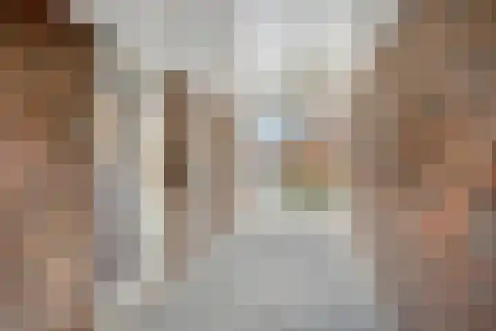 Zuringes 36 Assen thumbnail 6