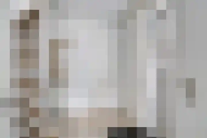 Zuringes 36 Assen thumbnail 8
