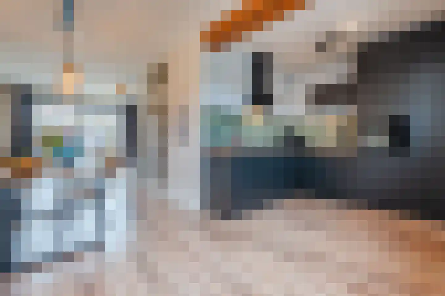 Zuringes 9 Assen thumbnail 10