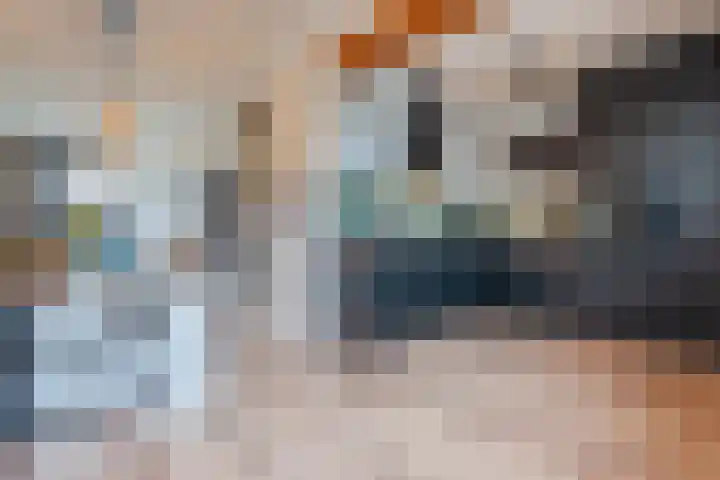 Zuringes 9 Assen thumbnail 10