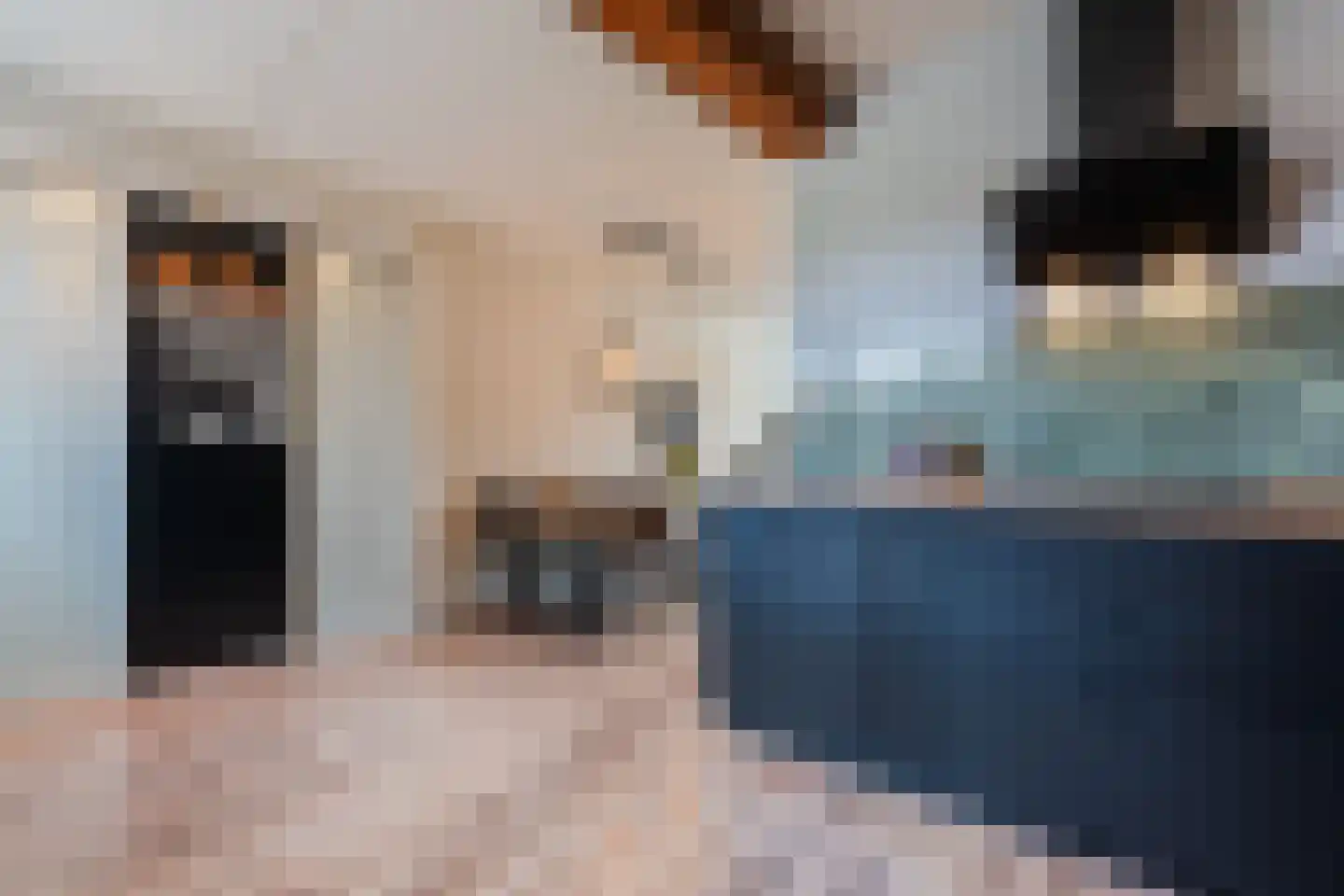 Zuringes 9 Assen thumbnail 11