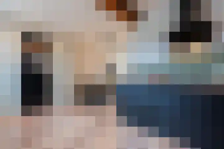 Zuringes 9 Assen thumbnail 11