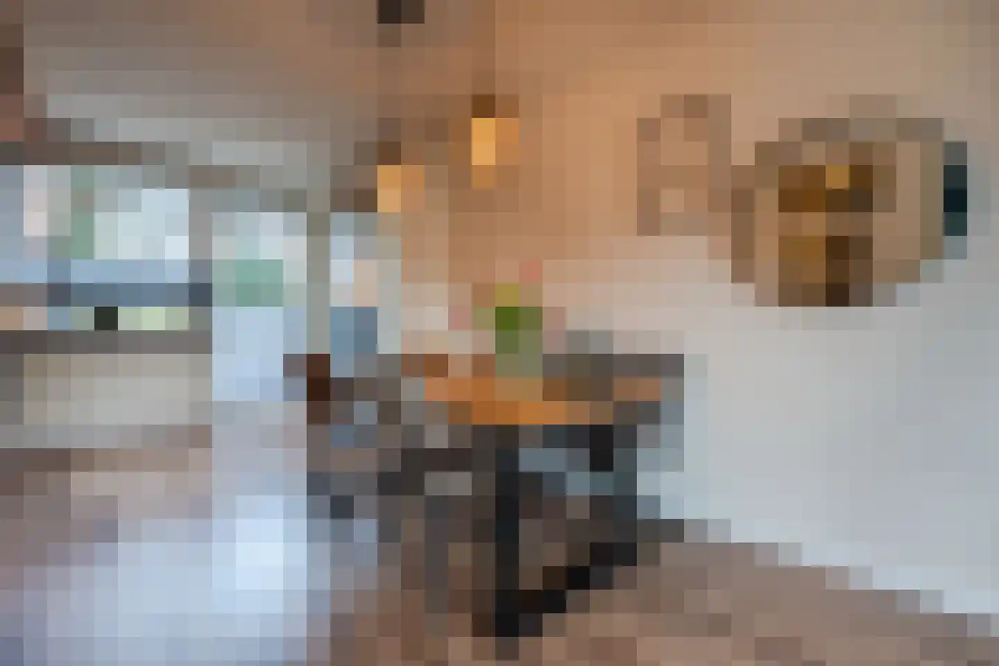 Zuringes 9 Assen thumbnail 17