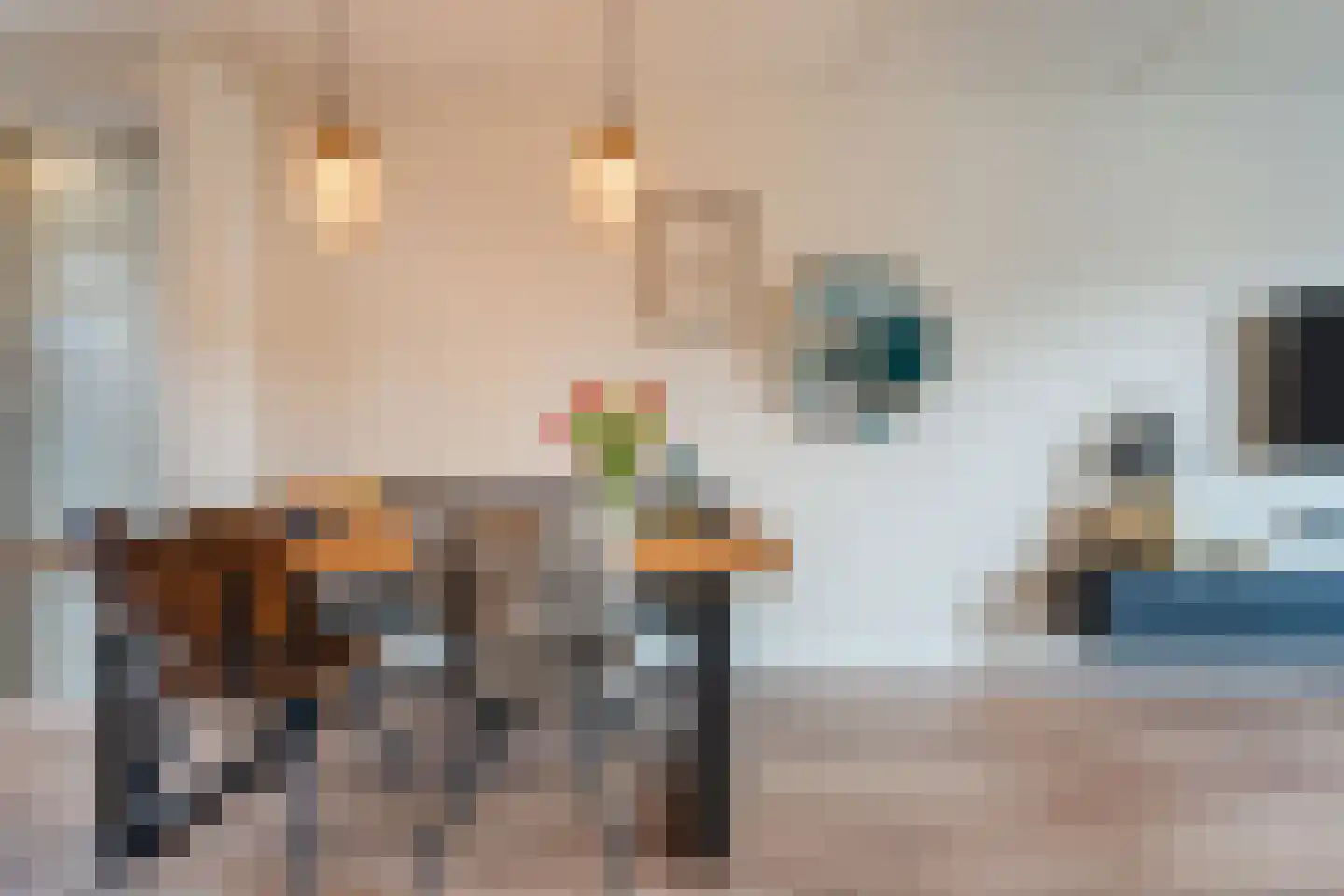 Zuringes 9 Assen thumbnail 18