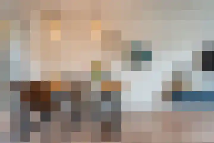 Zuringes 9 Assen thumbnail 18