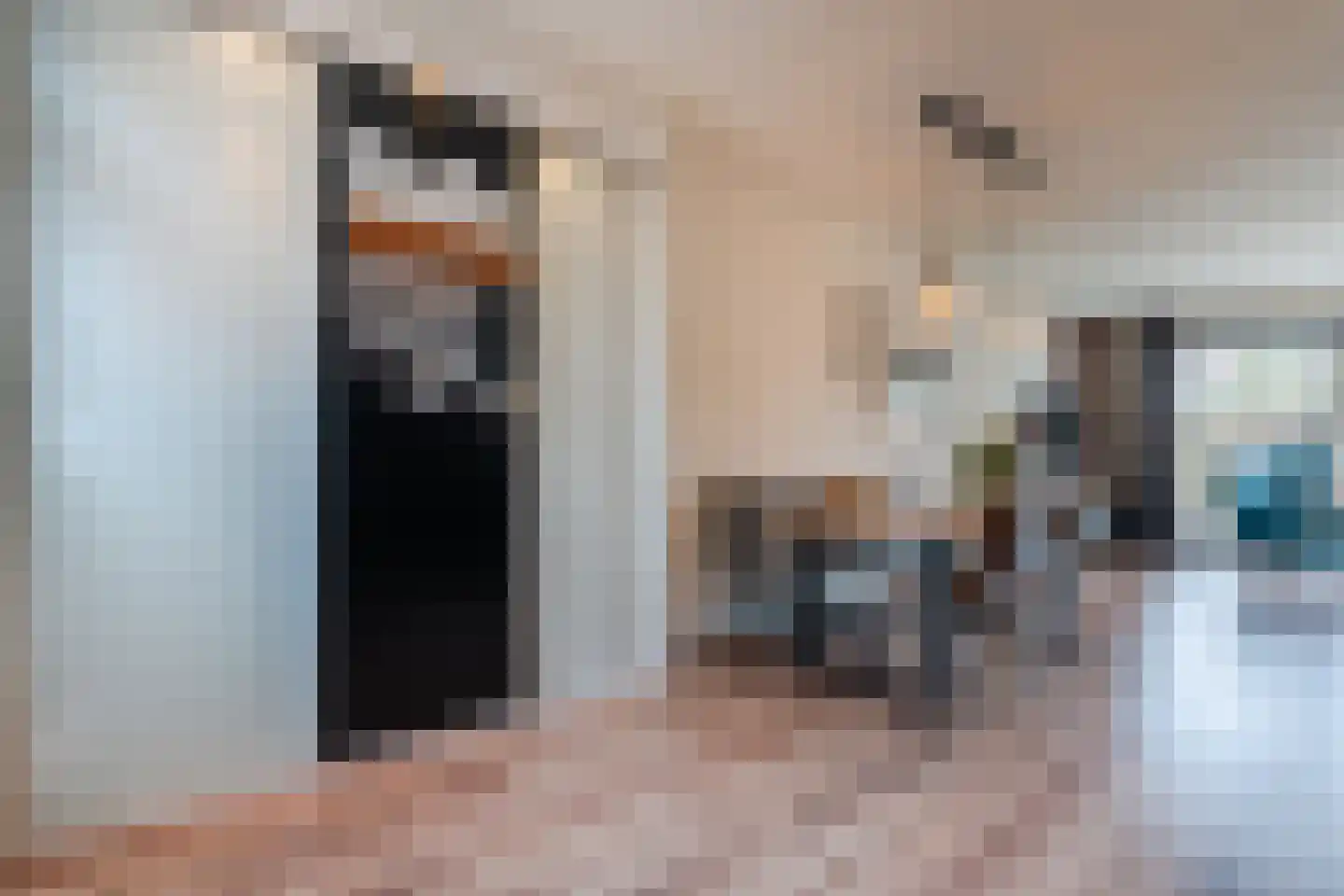 Zuringes 9 Assen thumbnail 19