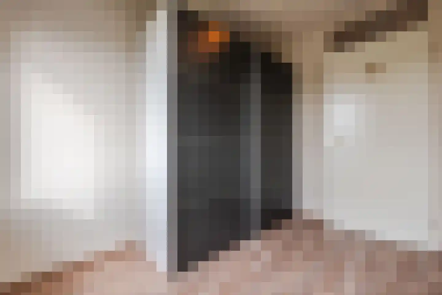 Zuringes 9 Assen thumbnail 28