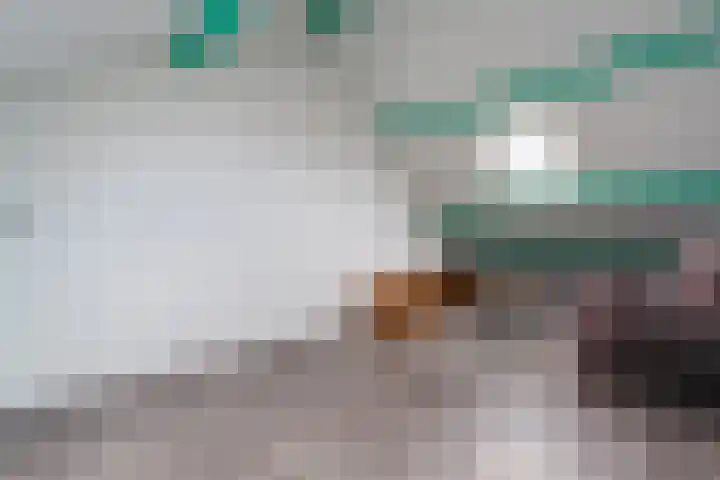 Zuringes 9 Assen thumbnail 38