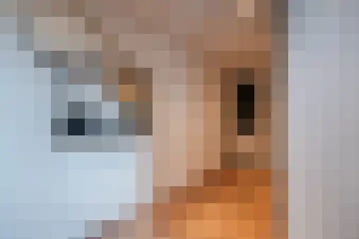 Zuringes 9 Assen thumbnail 4