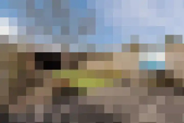 Zuringes 9 Assen thumbnail 45