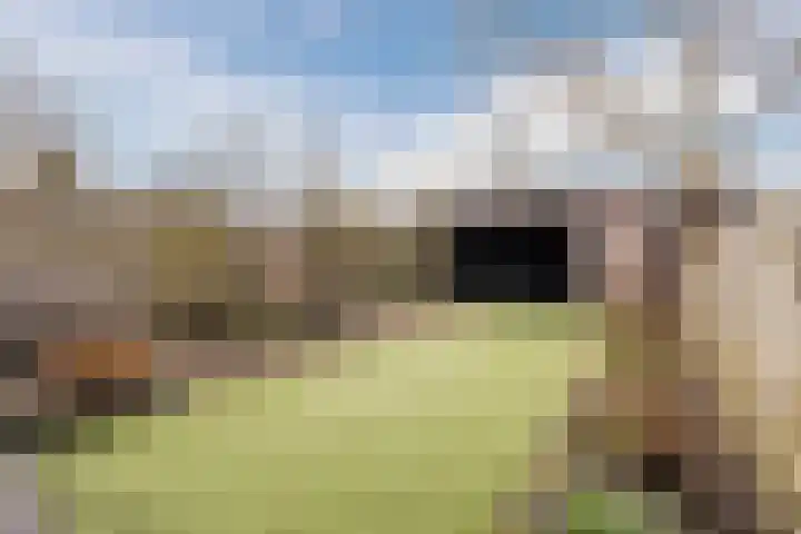 Zuringes 9 Assen thumbnail 46