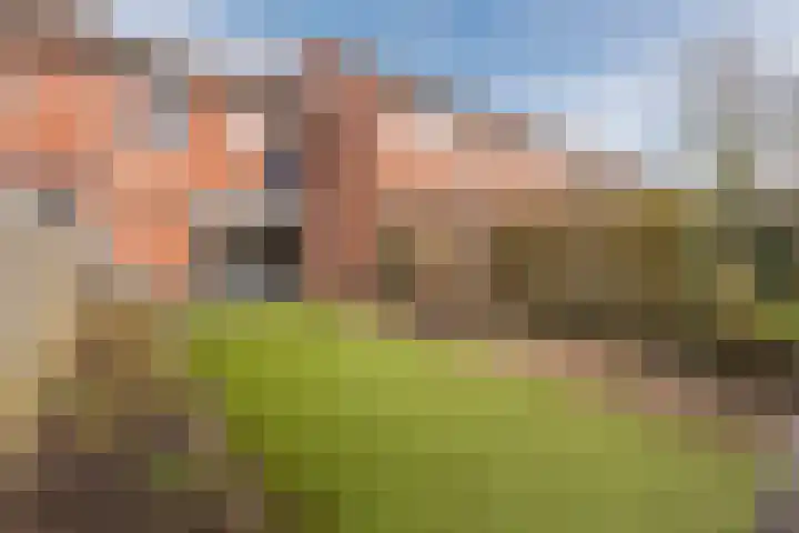 Zuringes 9 Assen thumbnail 47