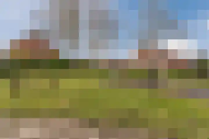 Zuringes 9 Assen thumbnail 53