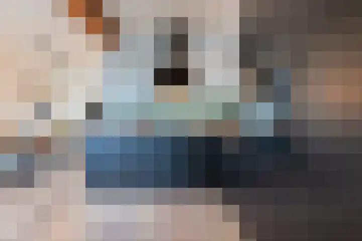Zuringes 9 Assen thumbnail 7