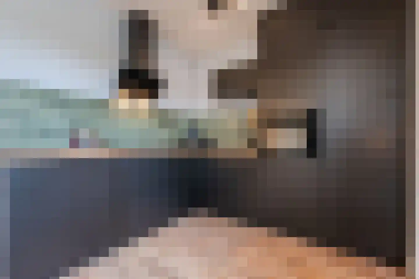 Zuringes 9 Assen thumbnail 8