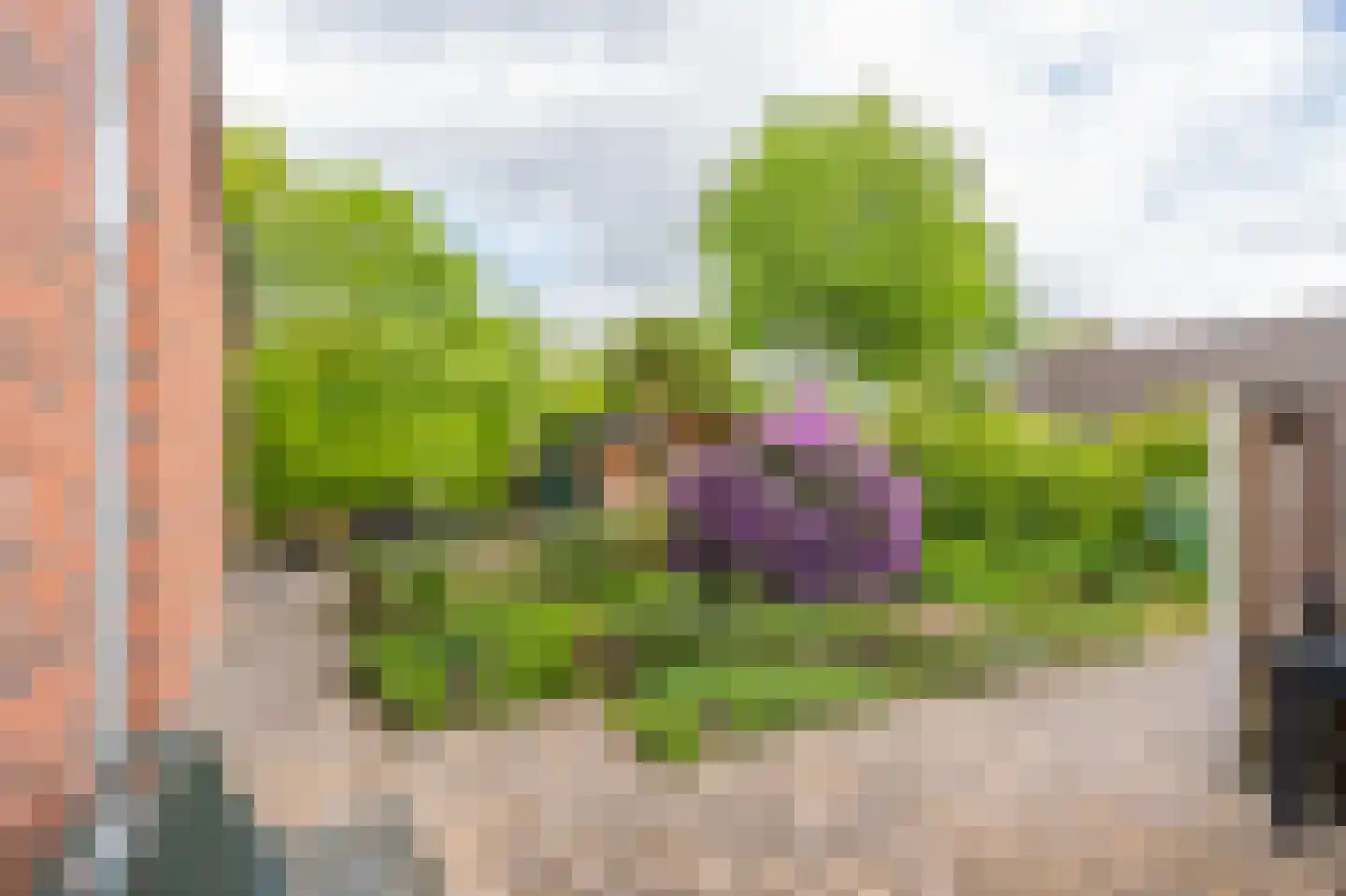 Zuringes 97 Assen thumbnail 12