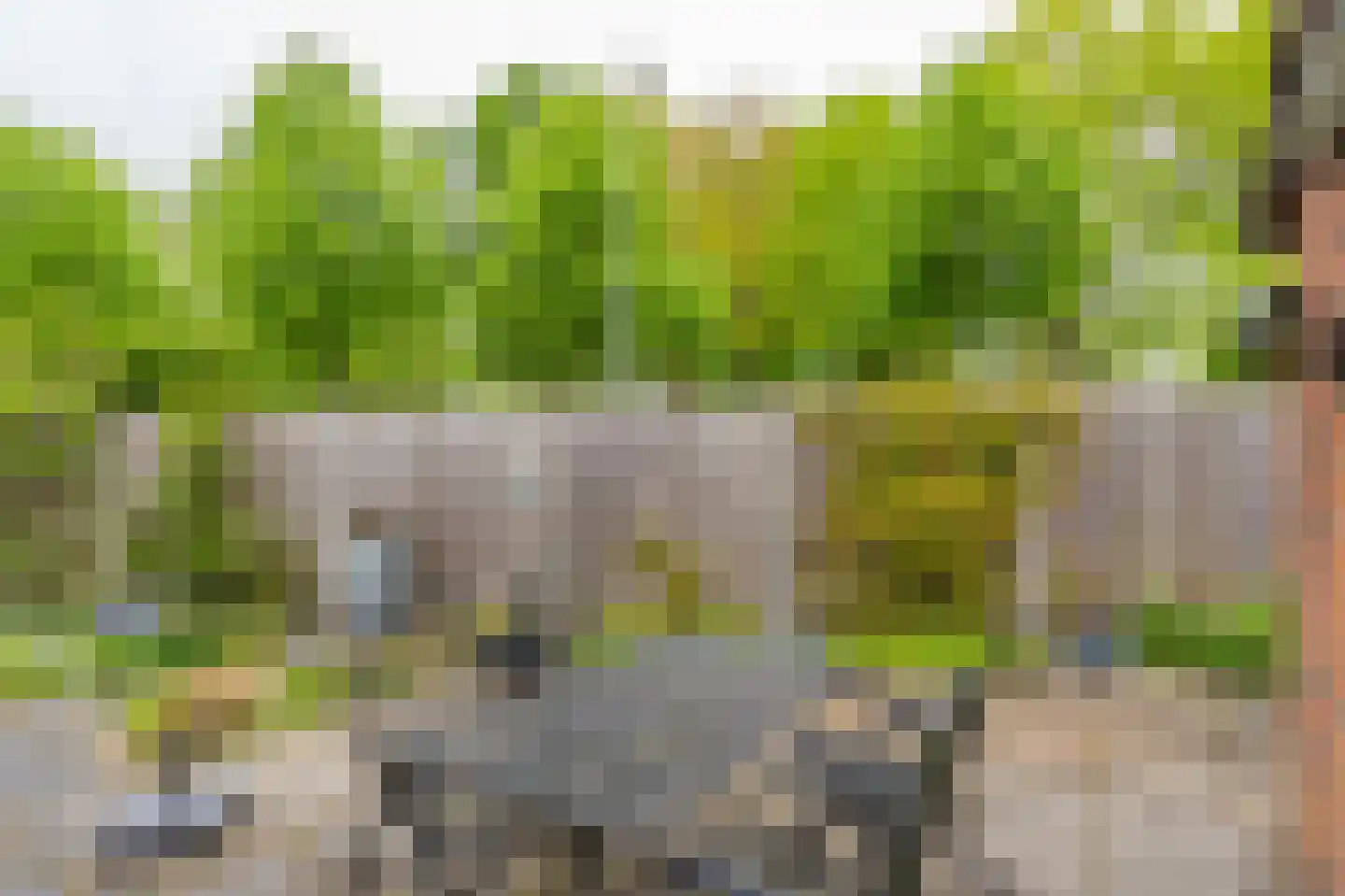 Zuringes 97 Assen thumbnail 41