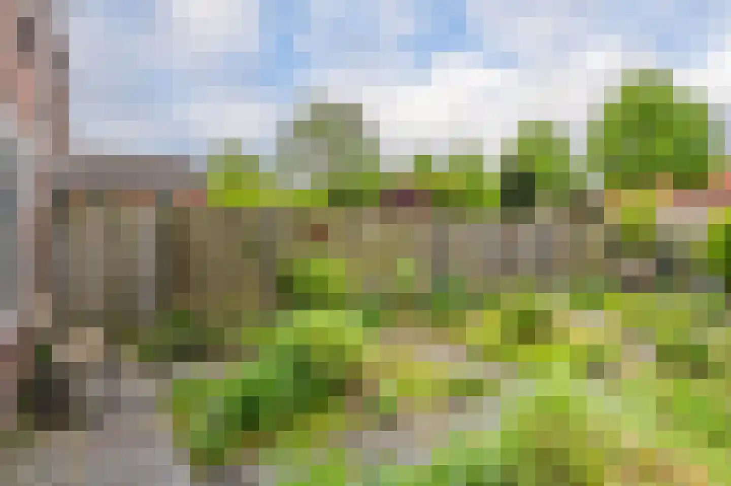 Zuringes 97 Assen thumbnail 44