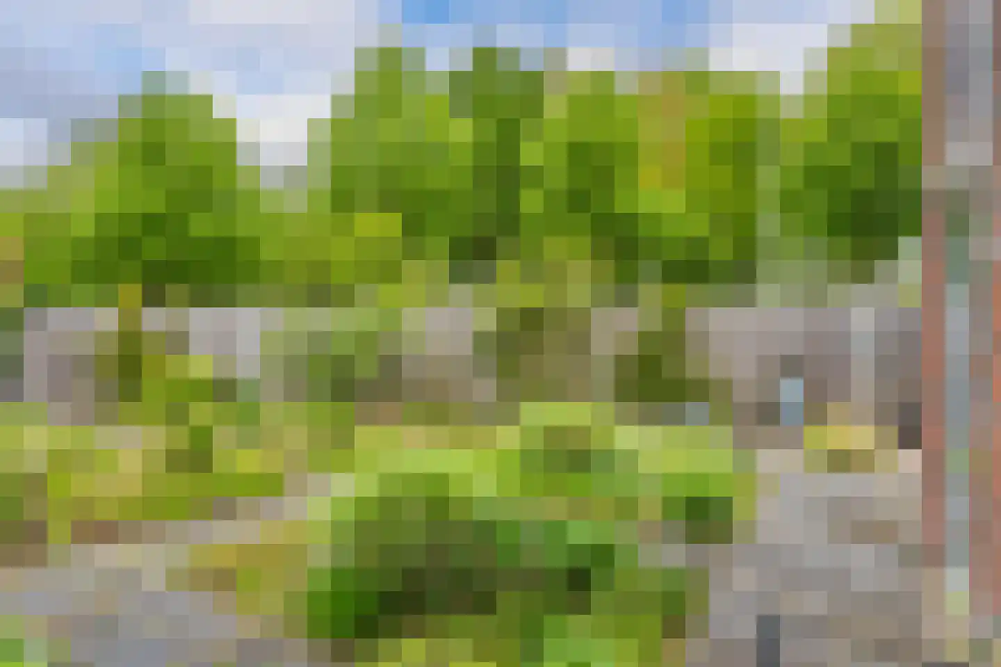 Zuringes 97 Assen thumbnail 45