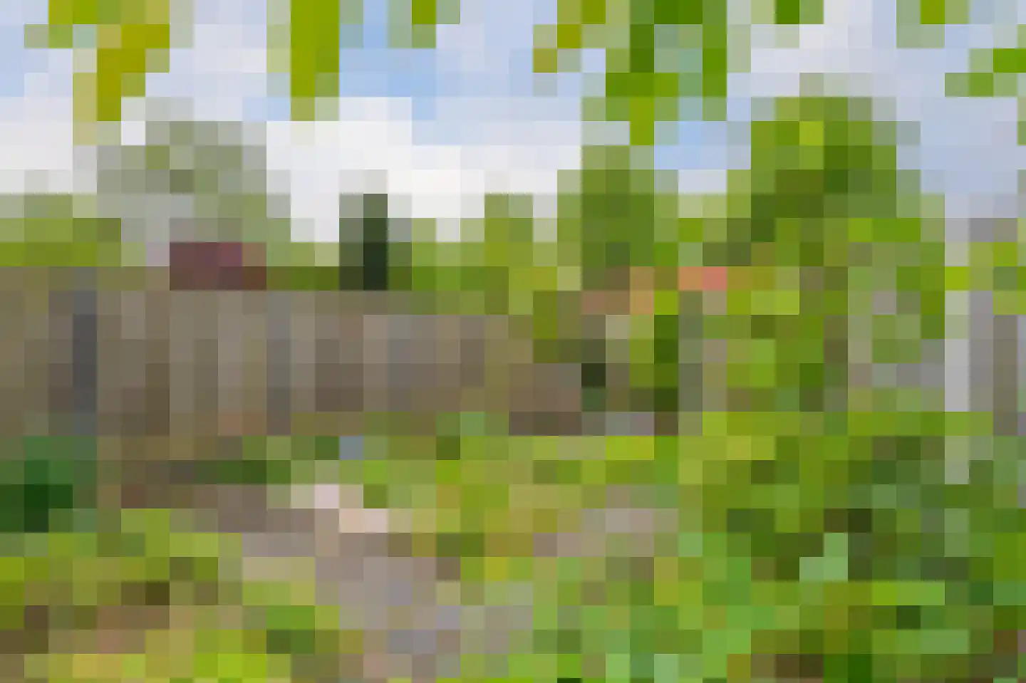 Zuringes 97 Assen thumbnail 47